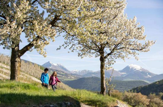 Zimmererhof in Bressanone / Isarco Valley - South Tyrol