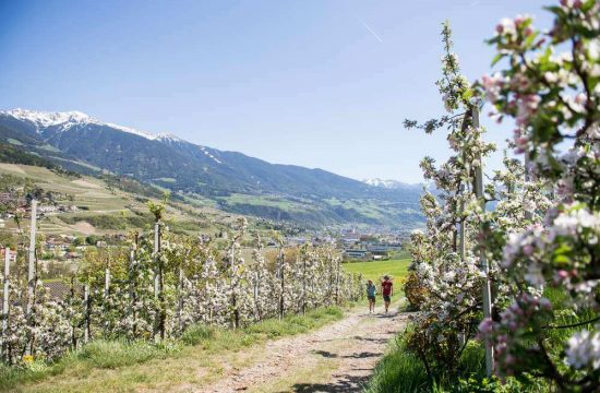 Zimmererhof in Brixen / Eisacktal - Südtirol