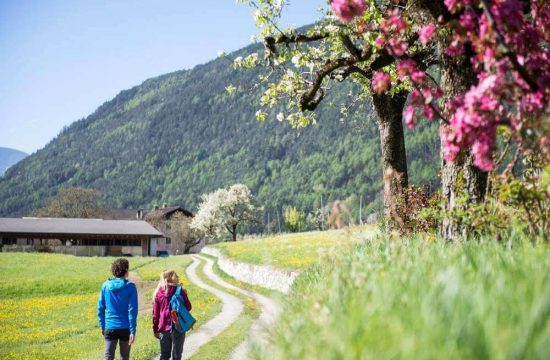 Zimmererhof in Bressanone / Isarco Valley - South Tyrol